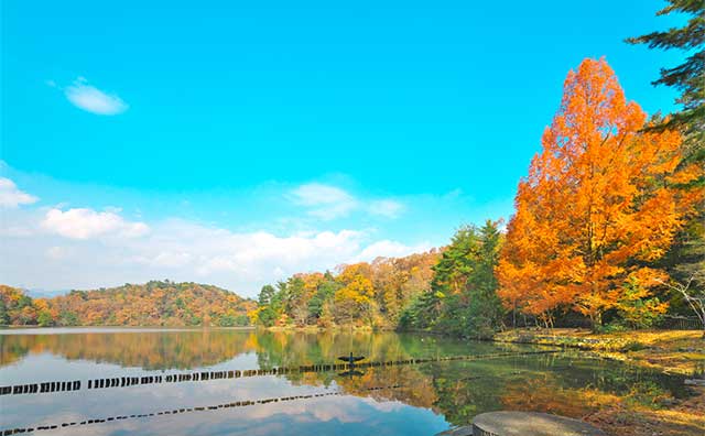 宝が池公園のイメージ