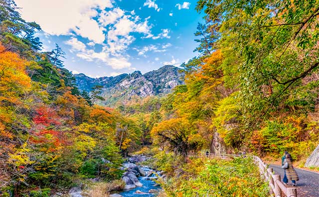 昇仙峡ならライトアップも楽しめる！紅葉スポットや見頃を紹介