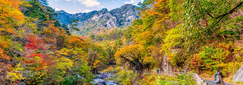 昇仙峡ならライトアップも楽しめる！紅葉スポットや見頃を紹介のイメージ