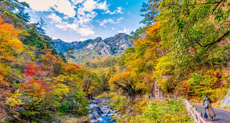 昇仙峡ならライトアップも楽しめる！紅葉スポットや見頃を紹介のイメージ