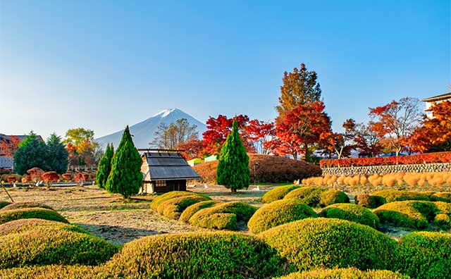 河口湖もみじ回廊のお役立ち情報！のイメージ