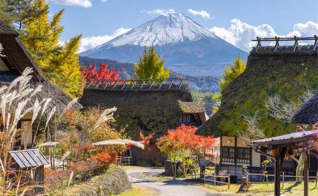 西湖いやしの里根場のイメージ