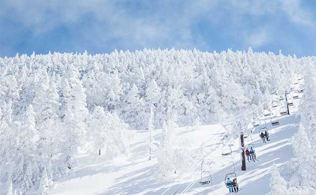 横手山・渋峠スキー場のイメージ