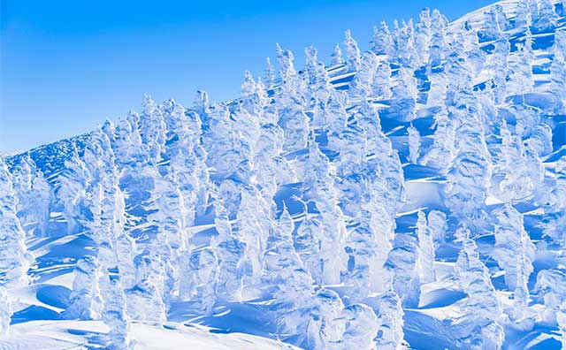 蔵王の樹氷のイメージ