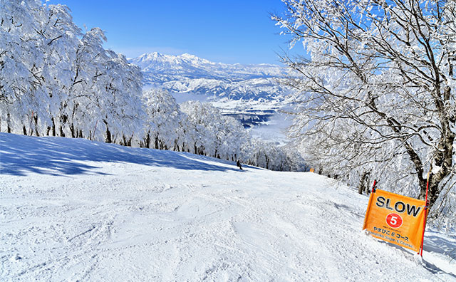野沢温泉スキー場のイメージ