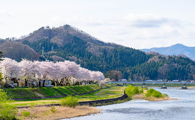 桧木内川堤