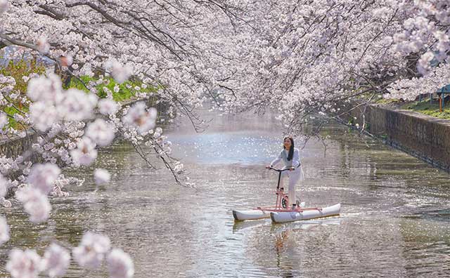 お花見水上サイクリング