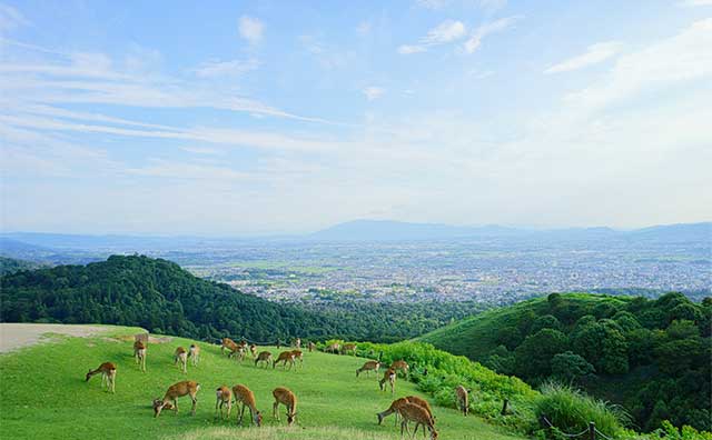 若草山のイメージ