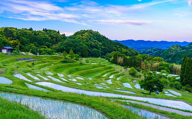 大山千枚田のイメージ