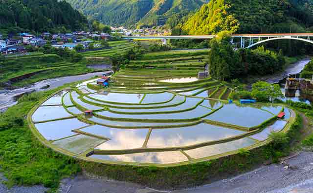 あらぎ島のイメージ