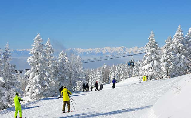 焼額山スキー場