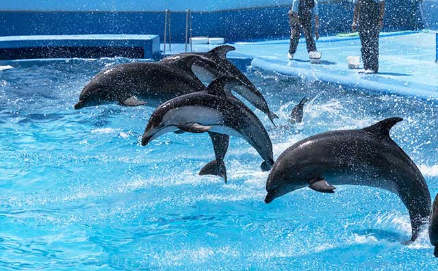 新潟市水族館 マリンピア日本海