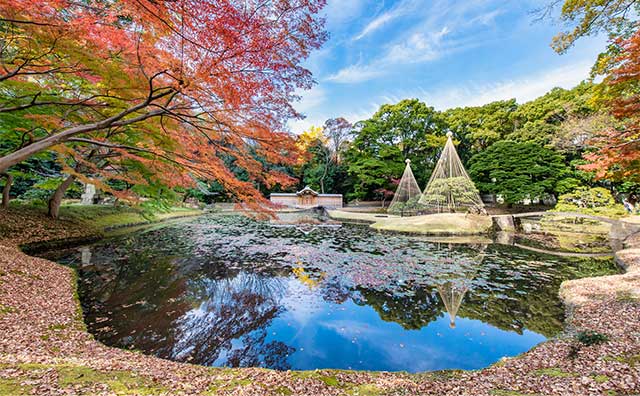 小石川後楽園