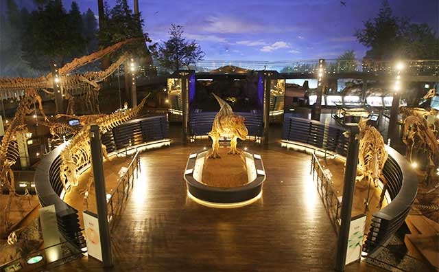 福井県立恐竜博物館 提供：恐竜の世界