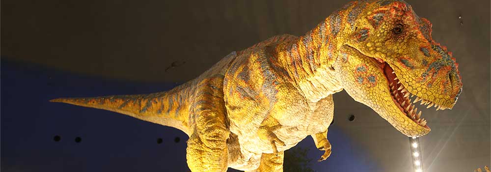 福井県立恐竜博物館 提供：ティラノサウルスロボット
