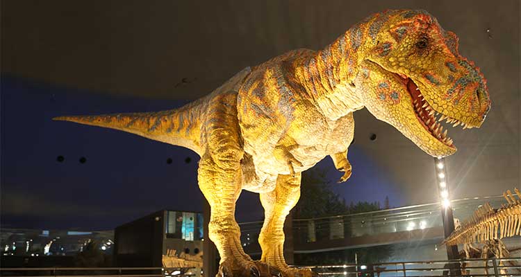福井県立恐竜博物館 提供：ティラノサウルスロボット
