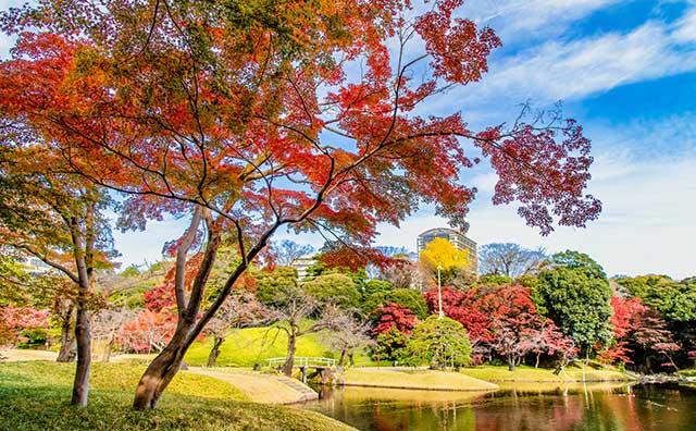 小石川後楽園