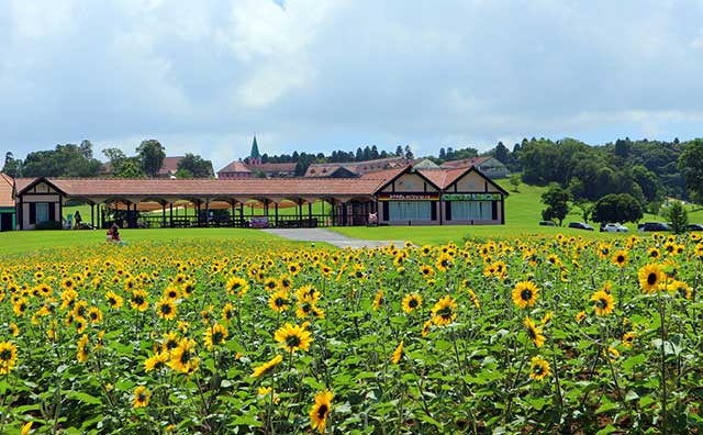 東京ドイツ村（千葉県）