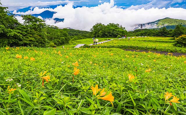 霧降高原（きりふりこうげん）（栃木県）