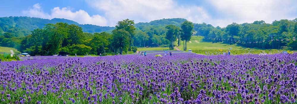 【関東】夏休みの旅行先に迷ったらここ！お出かけスポット14選
