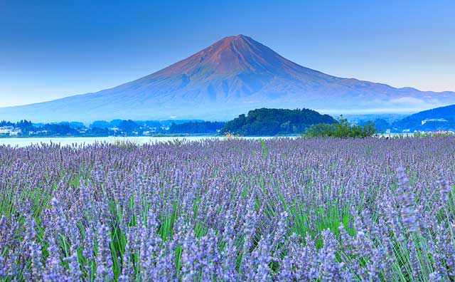 大石公園（山梨県）