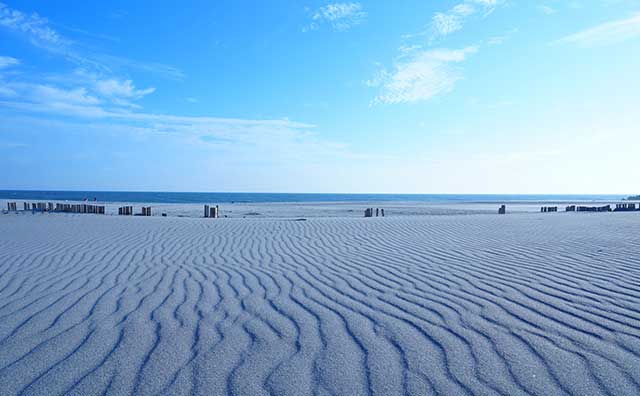 中田島砂丘（静岡県）