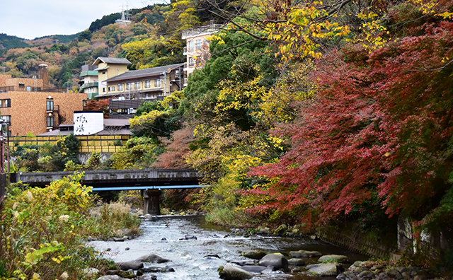 湯河原温泉