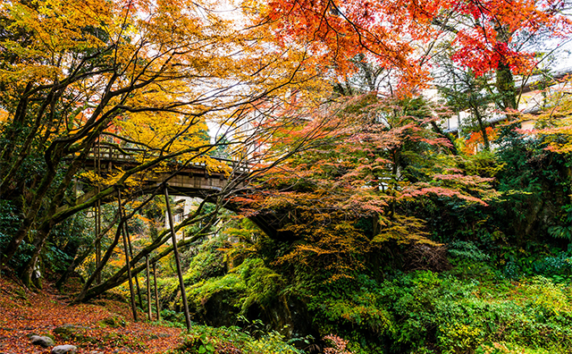 山中温泉