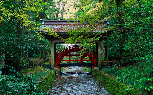 彌彦神社（写真提供：公益社団法人 新潟県観光協会）