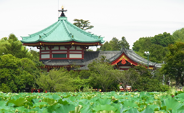 上野恩賜公園　不忍池　© （公財）東京観光財団 