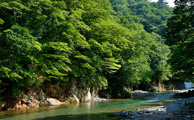 箒川