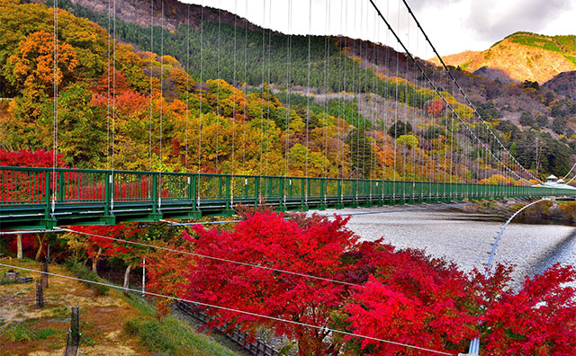 もみじ谷大吊橋