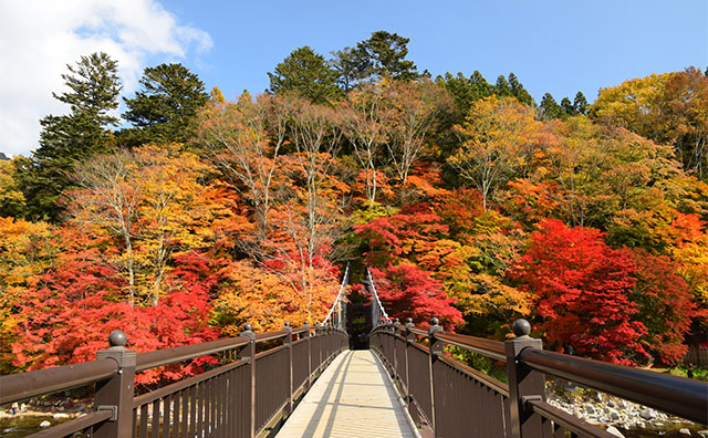 紅の吊り橋