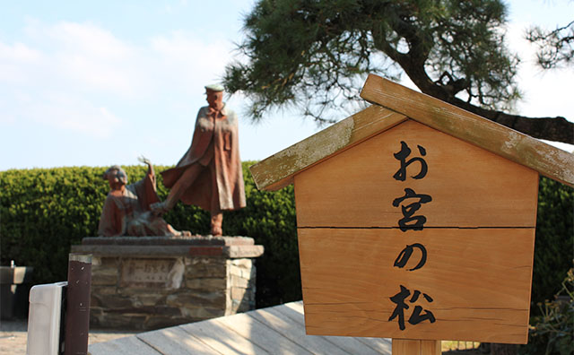  お宮の松