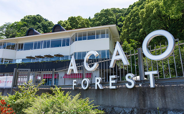 ACAO FOREST