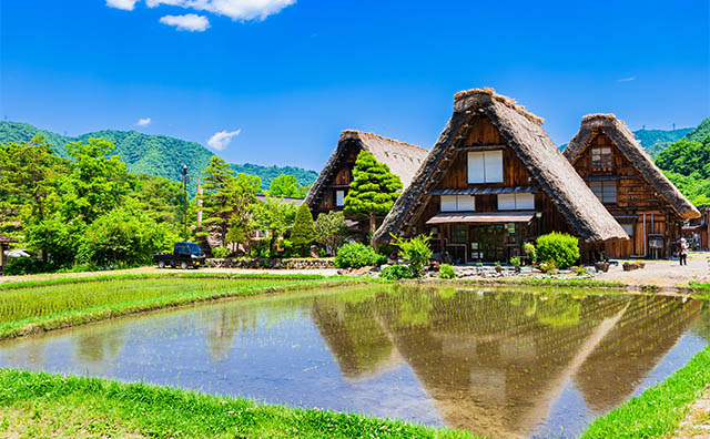 白川郷観光モデルコース！車なしで楽しむ1泊2日・日帰り旅