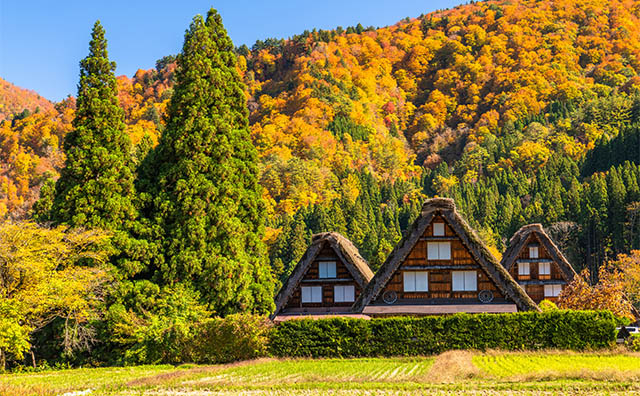 秋の白川郷