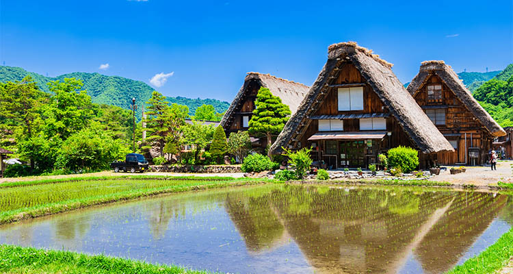 白川郷観光モデルコース!車なしで楽しむ1泊2日・日帰り旅