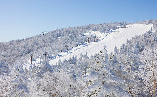 志賀高原 奥志賀高原スキー場