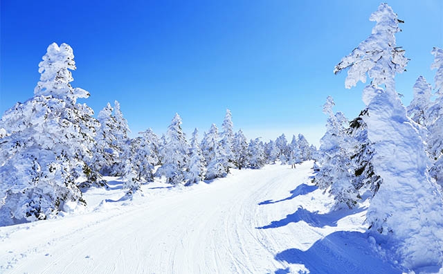 志賀高原 横手山スキー場