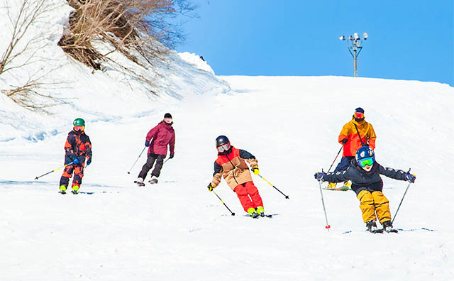 湯沢中里スキーリゾート　ゲレンデ