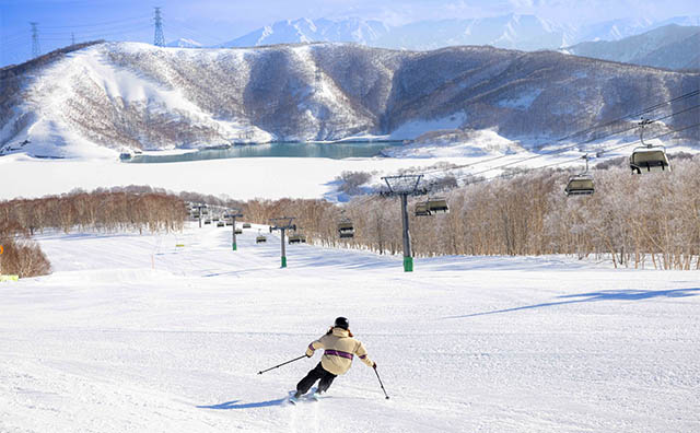かぐらスキー場　ゲレンデ