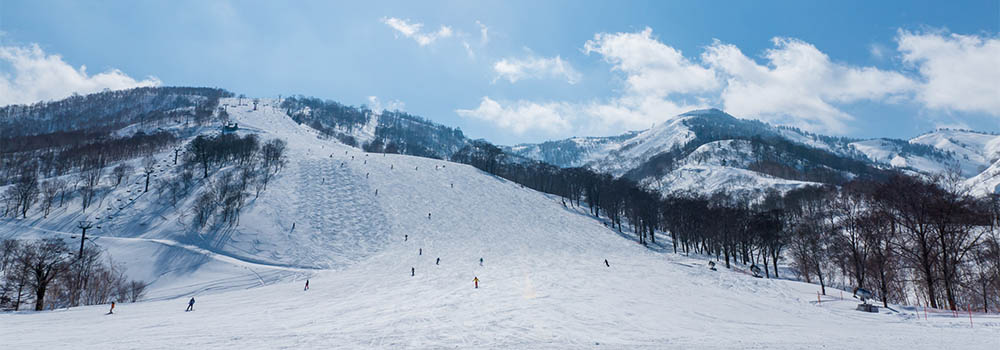東京から近いスキー場11選！片道約1時間半で日帰りOK