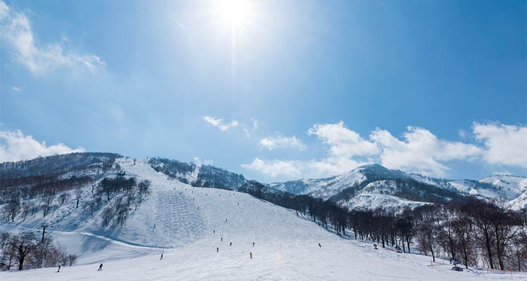 東京から近いスキー場11選！片道約1時間半で日帰りOK