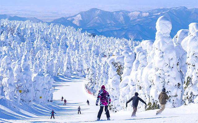 列車で行けるスキー場14選！東京からのアクセス時間別まとめ【東京発】