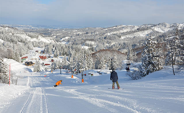 上越国際スキー場　ゲレンデ