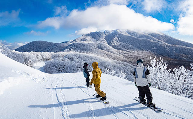 ネコマ マウンテン　ゲレンデ
