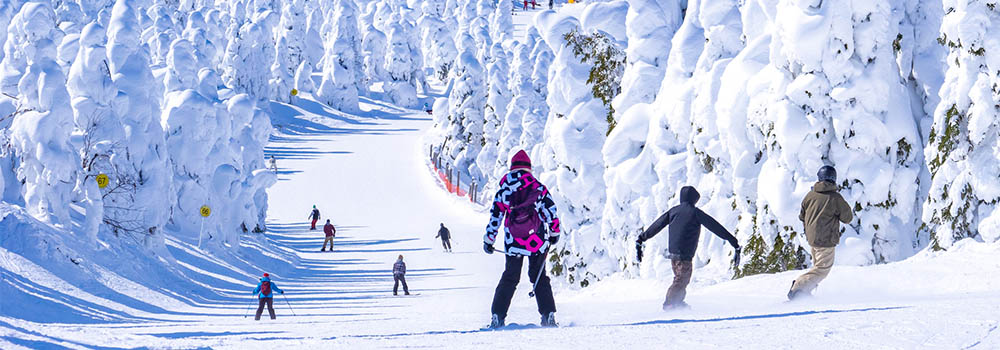 列車で行けるスキー場14選！東京からのアクセス時間別まとめ【東京発】