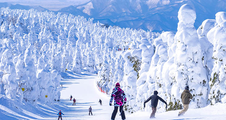 列車で行けるスキー場14選！東京からのアクセス時間別まとめ【東京発】