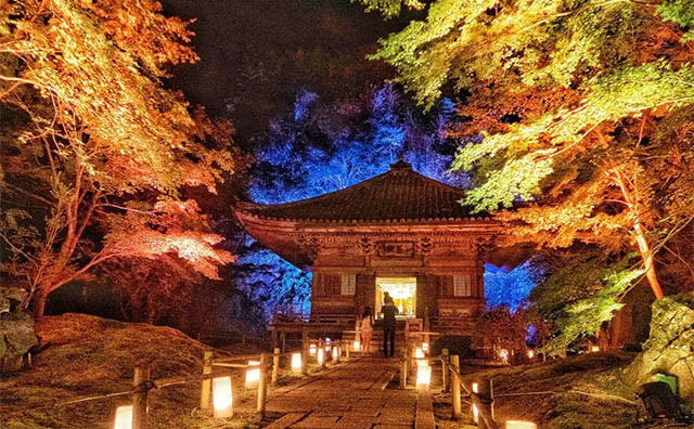 円通院 提供： ⼀般社団法⼈東北観光推進機構